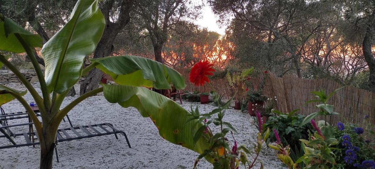 Villa Olive Garden, Kastanida - Paxoi Gaios Exterior foto
