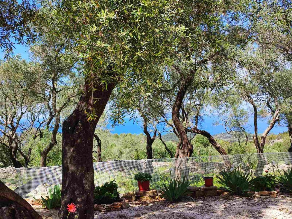 Villa Olive Garden, Kastanida - Paxoi Gaios Exterior foto