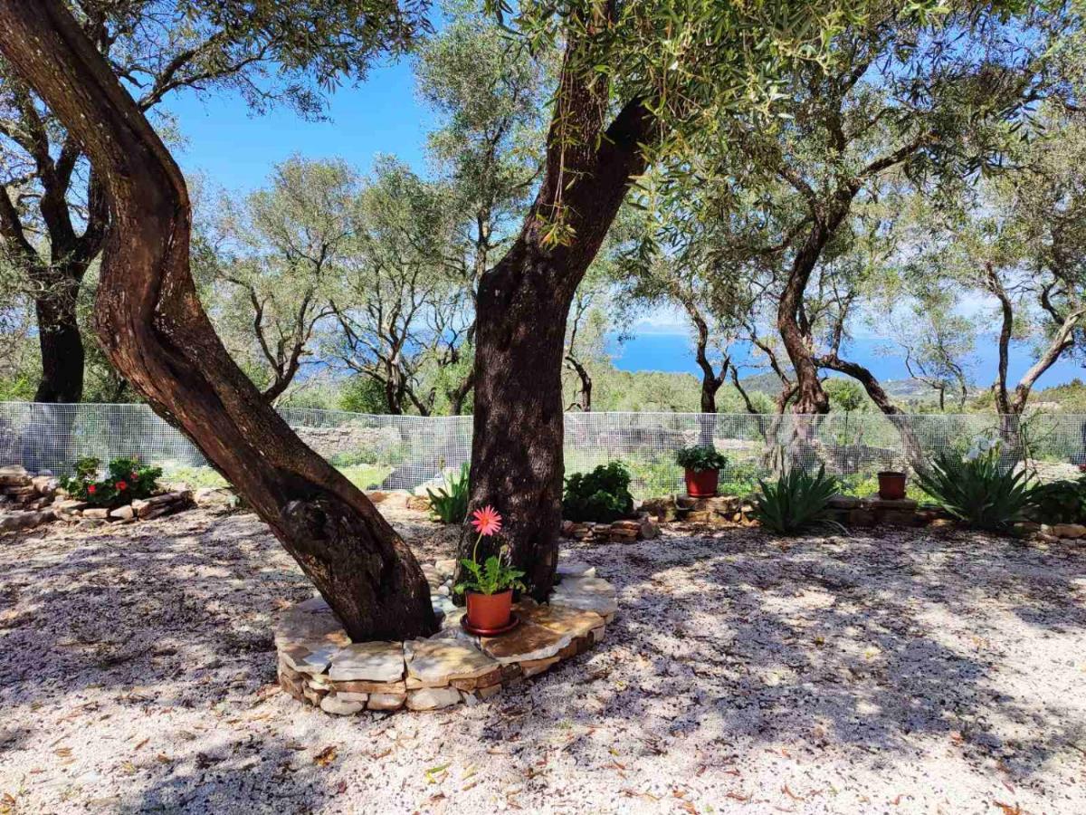 Villa Olive Garden, Kastanida - Paxoi Gaios Exterior foto