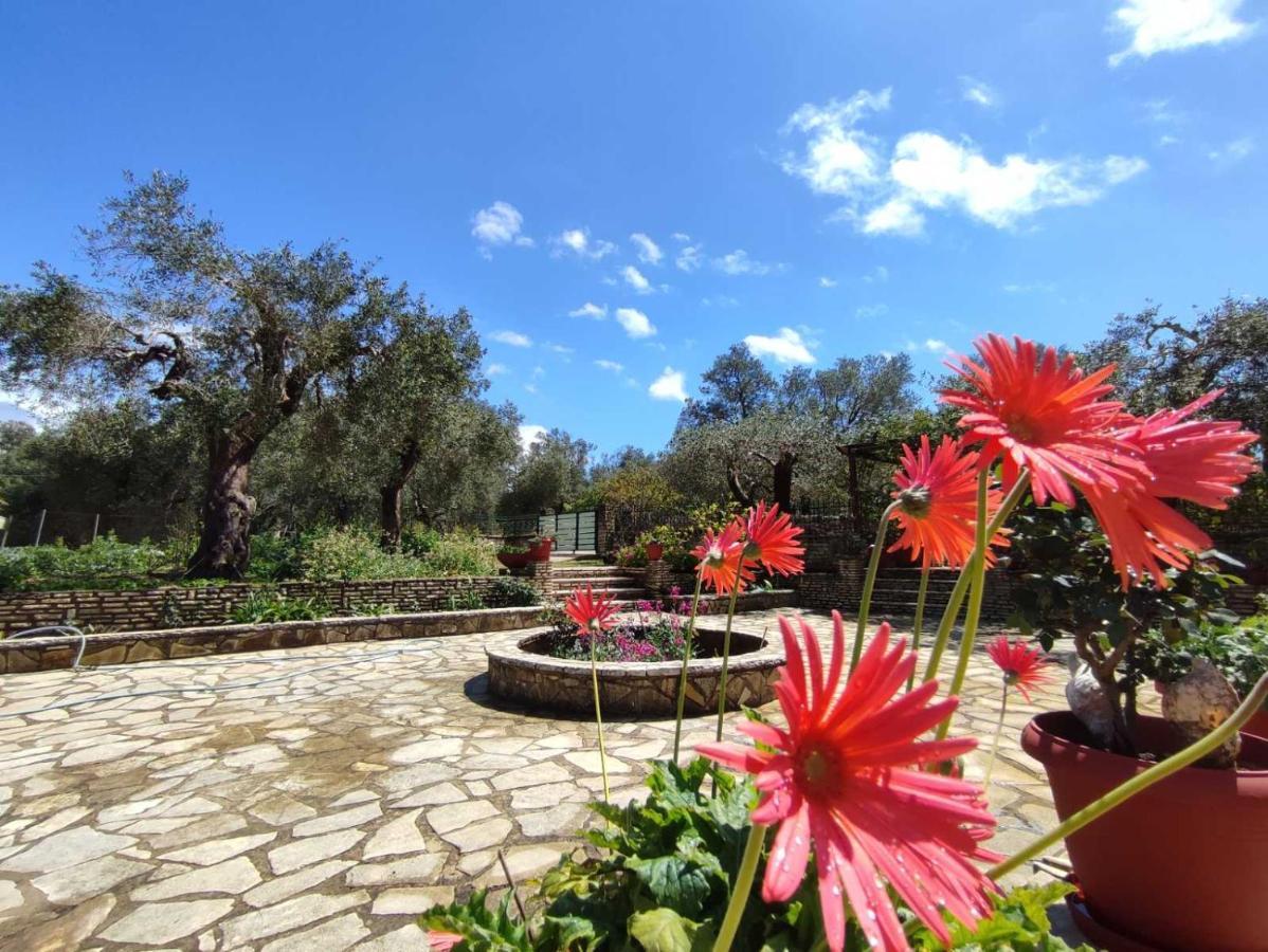 Villa Olive Garden, Kastanida - Paxoi Gaios Exterior foto